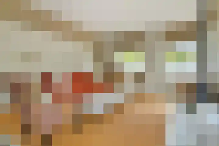 Hal 29 Esch thumbnail 37