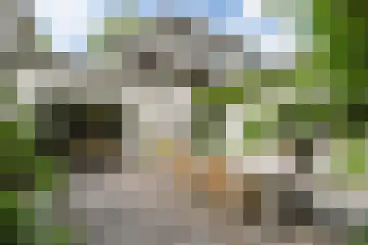 Hal 29 Esch thumbnail 4