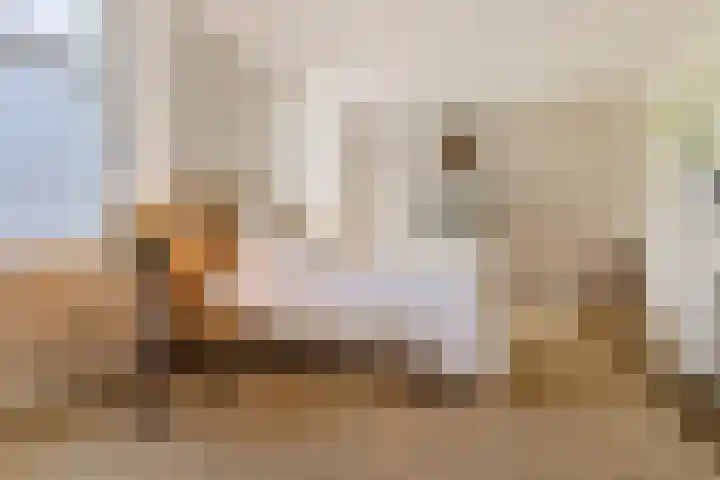 Hal 29 Esch thumbnail 40