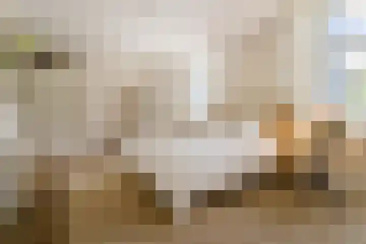 Hal 29 Esch thumbnail 41