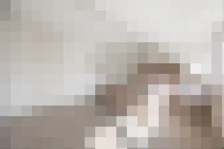 Hal 29 Esch thumbnail 44