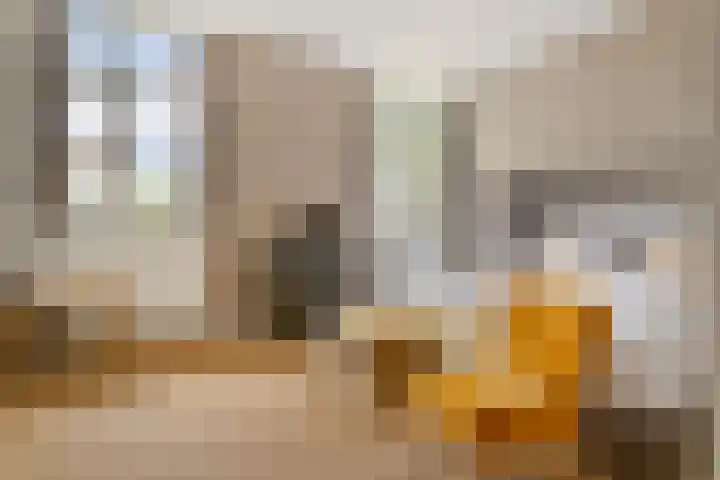 Hal 29 Esch thumbnail 51