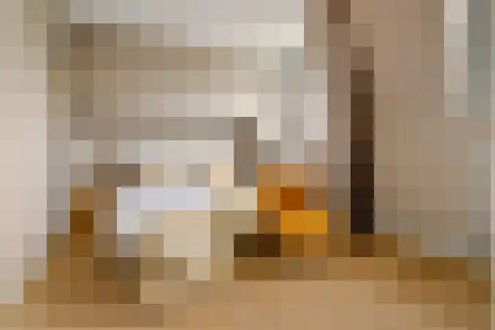 Hal 29 Esch thumbnail 56