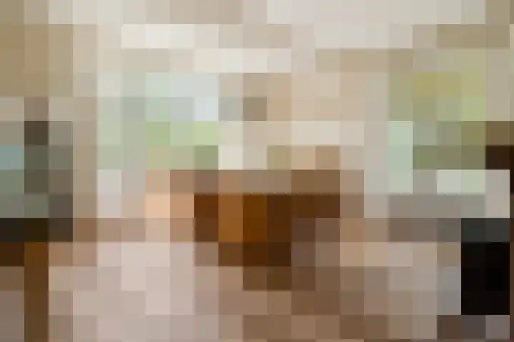 Hal 29 Esch thumbnail 6