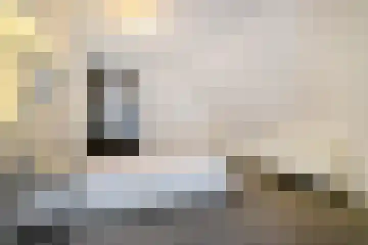 Hal 29 Esch thumbnail 71