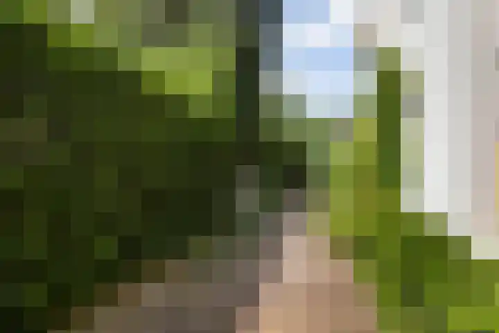 Hal 29 Esch thumbnail 75