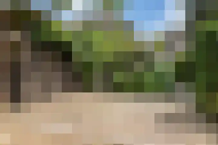 Hal 29 Esch thumbnail 76