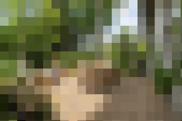 Hal 29 Esch thumbnail 77