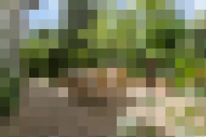 Hal 29 Esch thumbnail 78