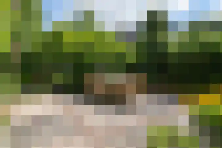 Hal 29 Esch thumbnail 80