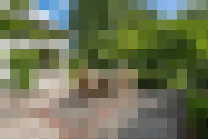 Hal 29 Esch thumbnail 81