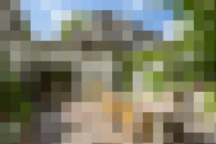 Hal 29 Esch thumbnail 83