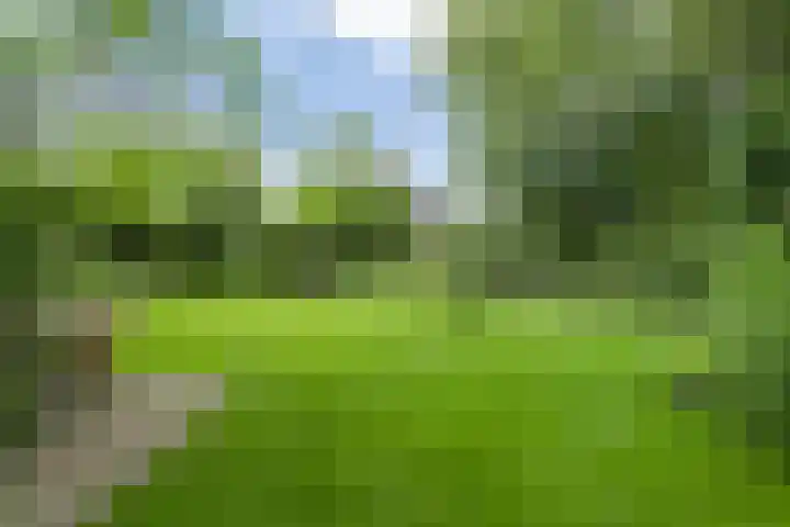 Hal 29 Esch thumbnail 87