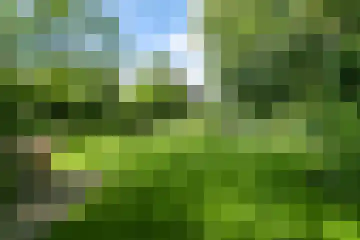 Hal 29 Esch thumbnail 88