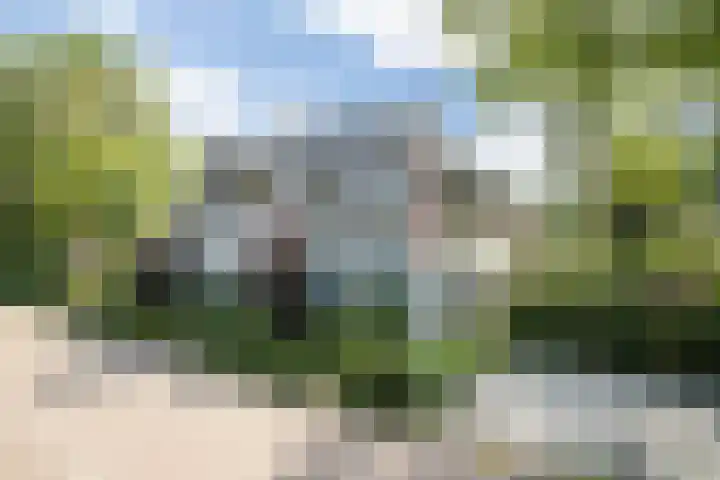 Hal 29 Esch thumbnail 9