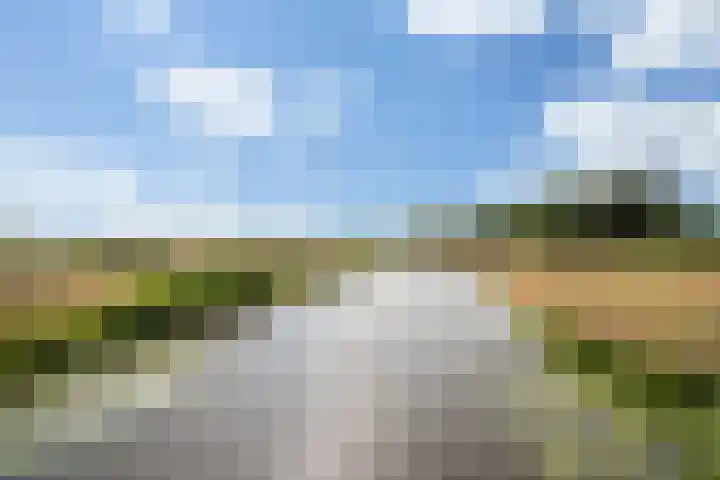 Hal 29 Esch thumbnail 90