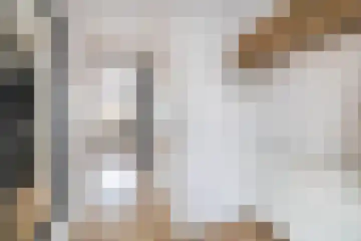 Hal 29 Esch thumbnail 91