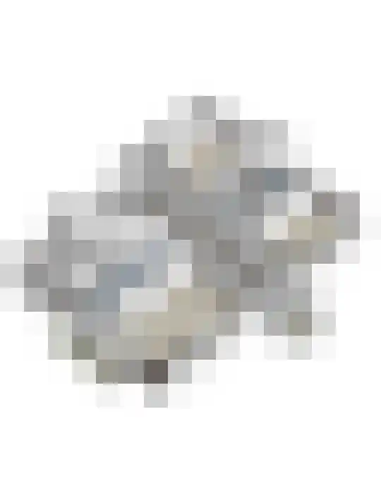 Hal 29 Esch thumbnail 95
