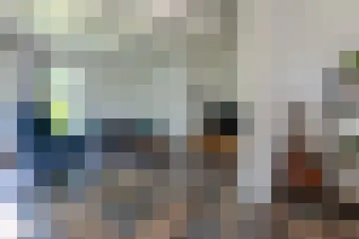 Halbe Wiersemaweg 12 Niebert thumbnail 12
