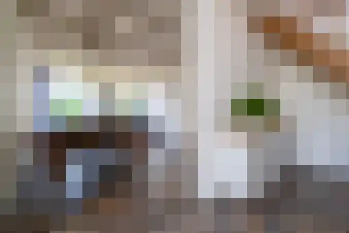 Halbe Wiersemaweg 12 Niebert thumbnail 16