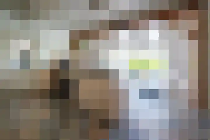 Halbe Wiersemaweg 12 Niebert thumbnail 19