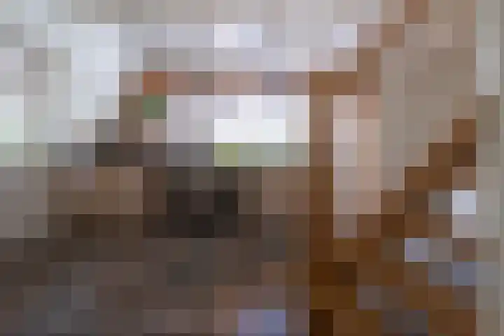 Halbe Wiersemaweg 12 Niebert thumbnail 21