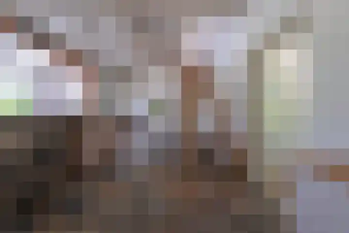 Halbe Wiersemaweg 12 Niebert thumbnail 22