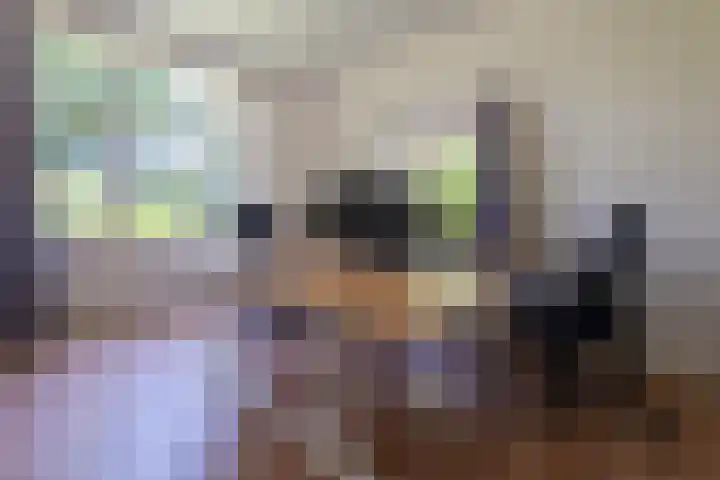 Halbe Wiersemaweg 12 Niebert thumbnail 23