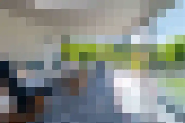 Halbe Wiersemaweg 12 Niebert thumbnail 26