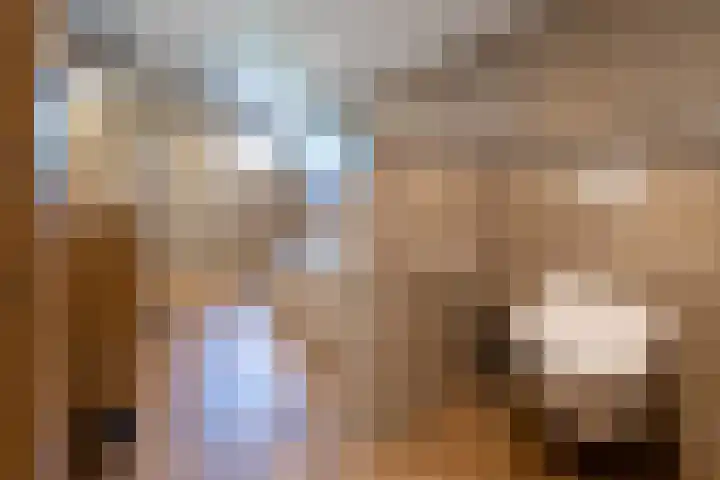 Halbe Wiersemaweg 12 Niebert thumbnail 27