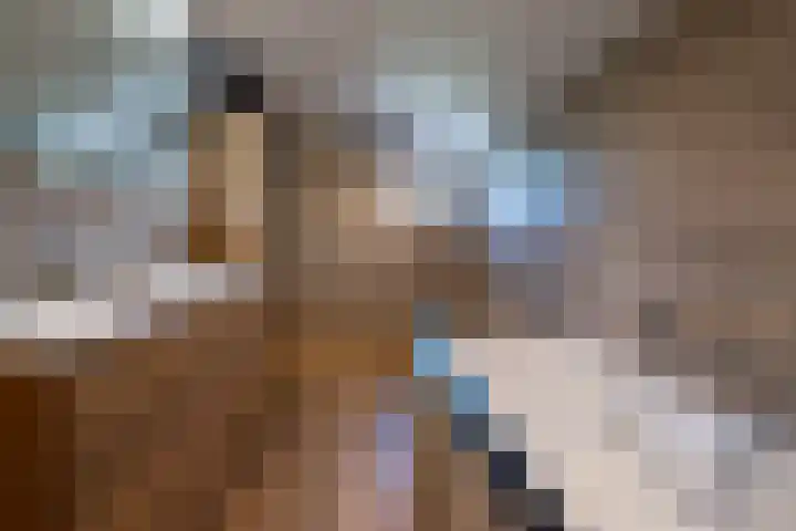 Halbe Wiersemaweg 12 Niebert thumbnail 28
