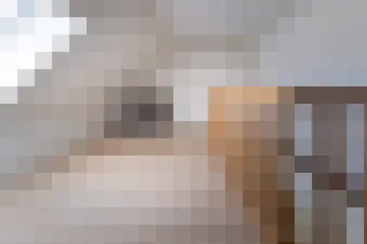 Halbe Wiersemaweg 12 Niebert thumbnail 31