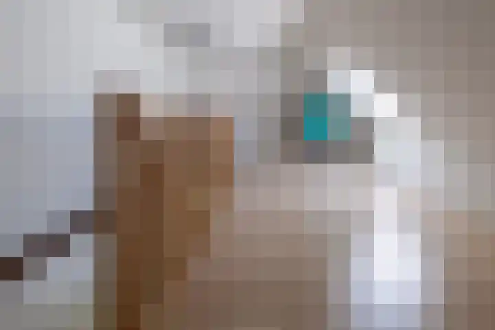 Halbe Wiersemaweg 12 Niebert thumbnail 32