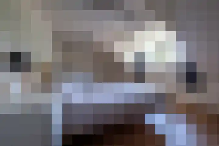 Halbe Wiersemaweg 12 Niebert thumbnail 34
