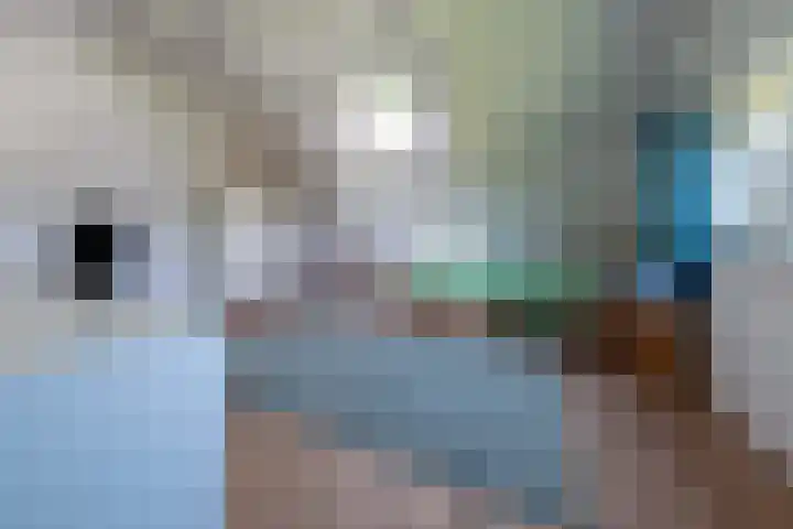 Halbe Wiersemaweg 12 Niebert thumbnail 42