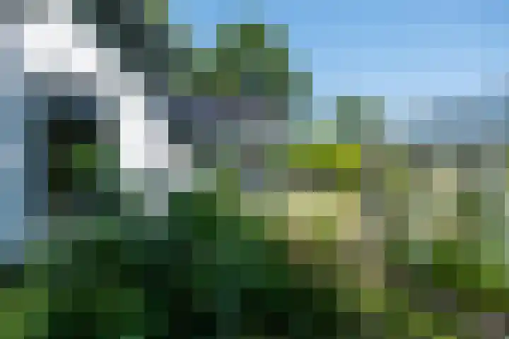 Halbe Wiersemaweg 12 Niebert thumbnail 46