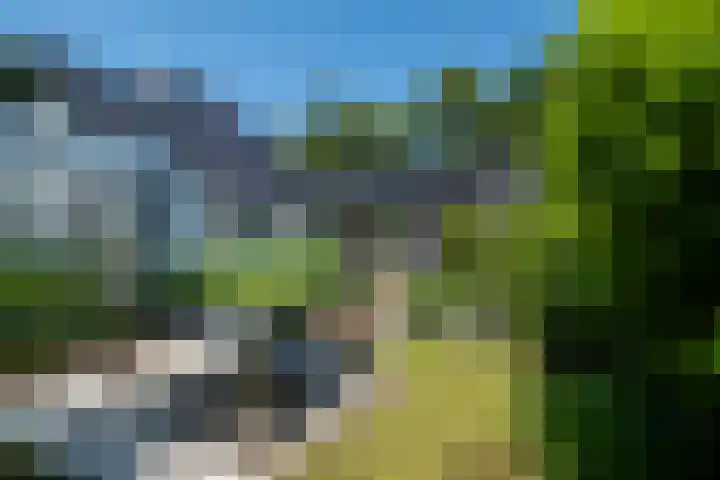 Halbe Wiersemaweg 12 Niebert thumbnail 47