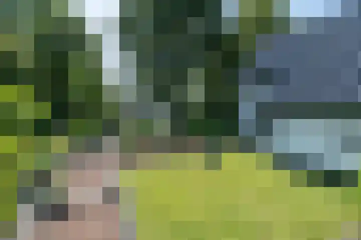 Halbe Wiersemaweg 12 Niebert thumbnail 48