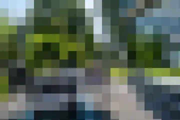 Halbe Wiersemaweg 12 Niebert thumbnail 51