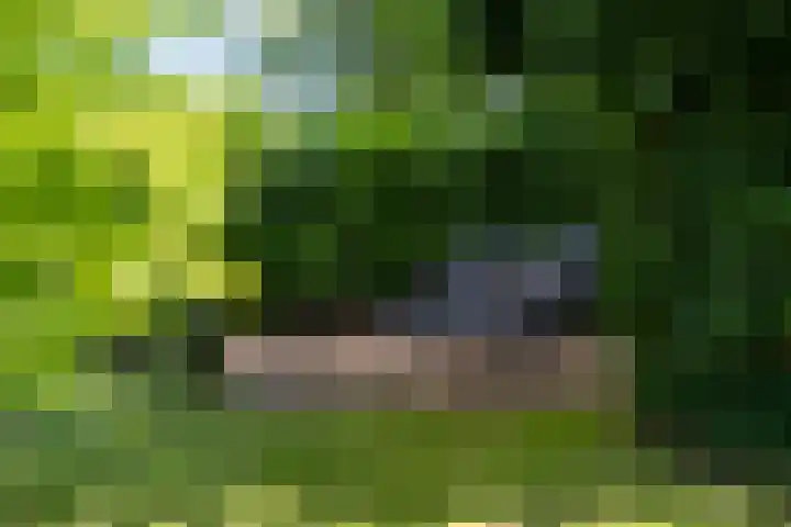 Halbe Wiersemaweg 12 Niebert thumbnail 52