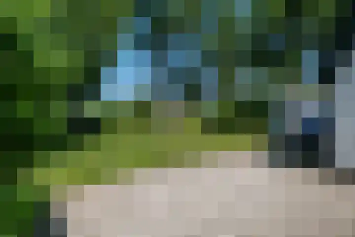Halbe Wiersemaweg 12 Niebert thumbnail 54