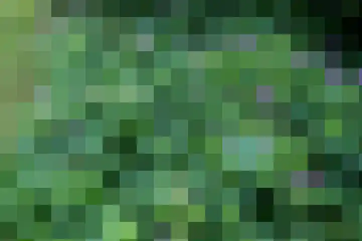 Halbe Wiersemaweg 12 Niebert thumbnail 55
