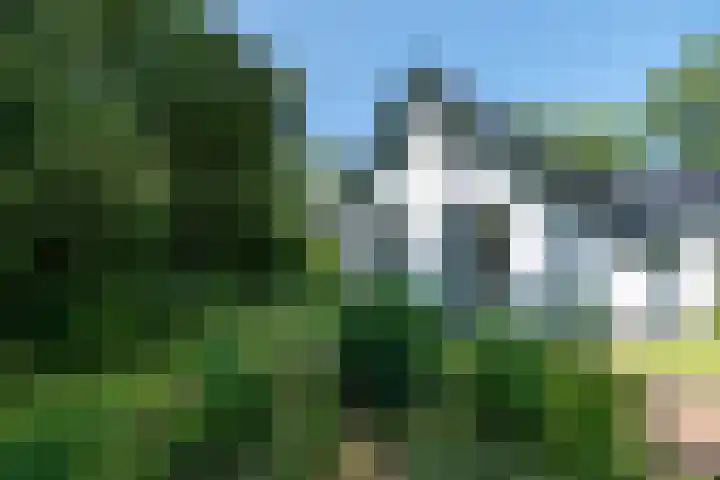 Halbe Wiersemaweg 12 Niebert thumbnail 8
