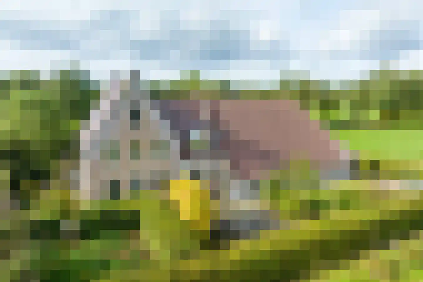 Halbe Wiersemaweg 2 A Niebert foto 2