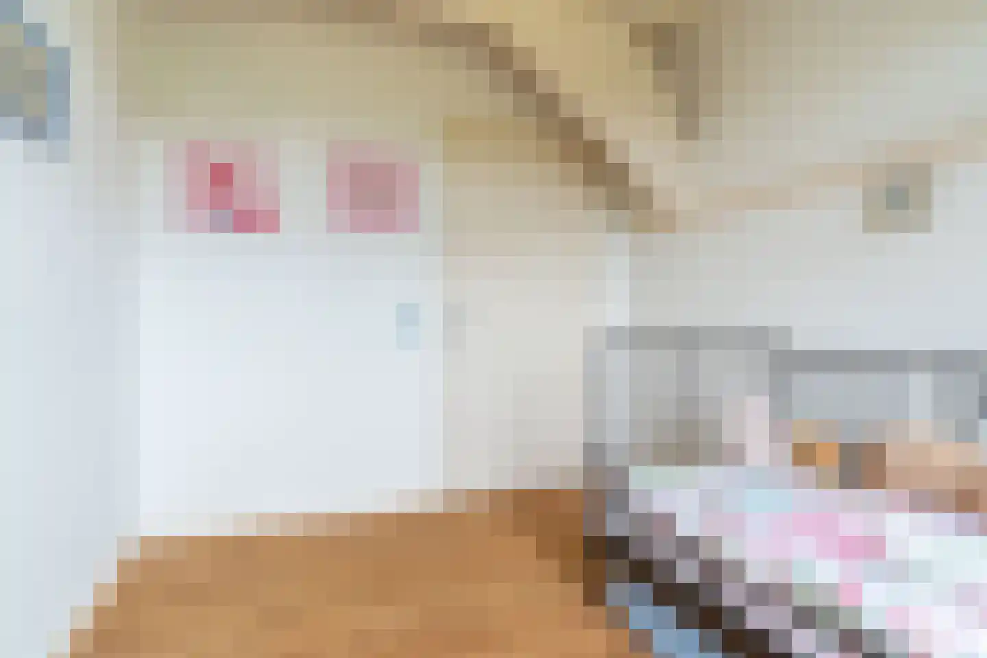 Halbe Wiersemaweg 2 A Niebert thumbnail 34