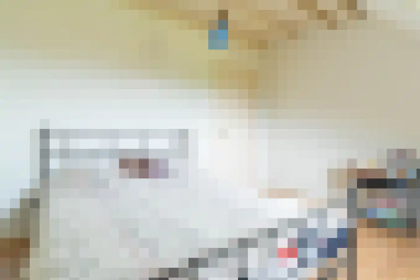 Halbe Wiersemaweg 2 A Niebert thumbnail 39