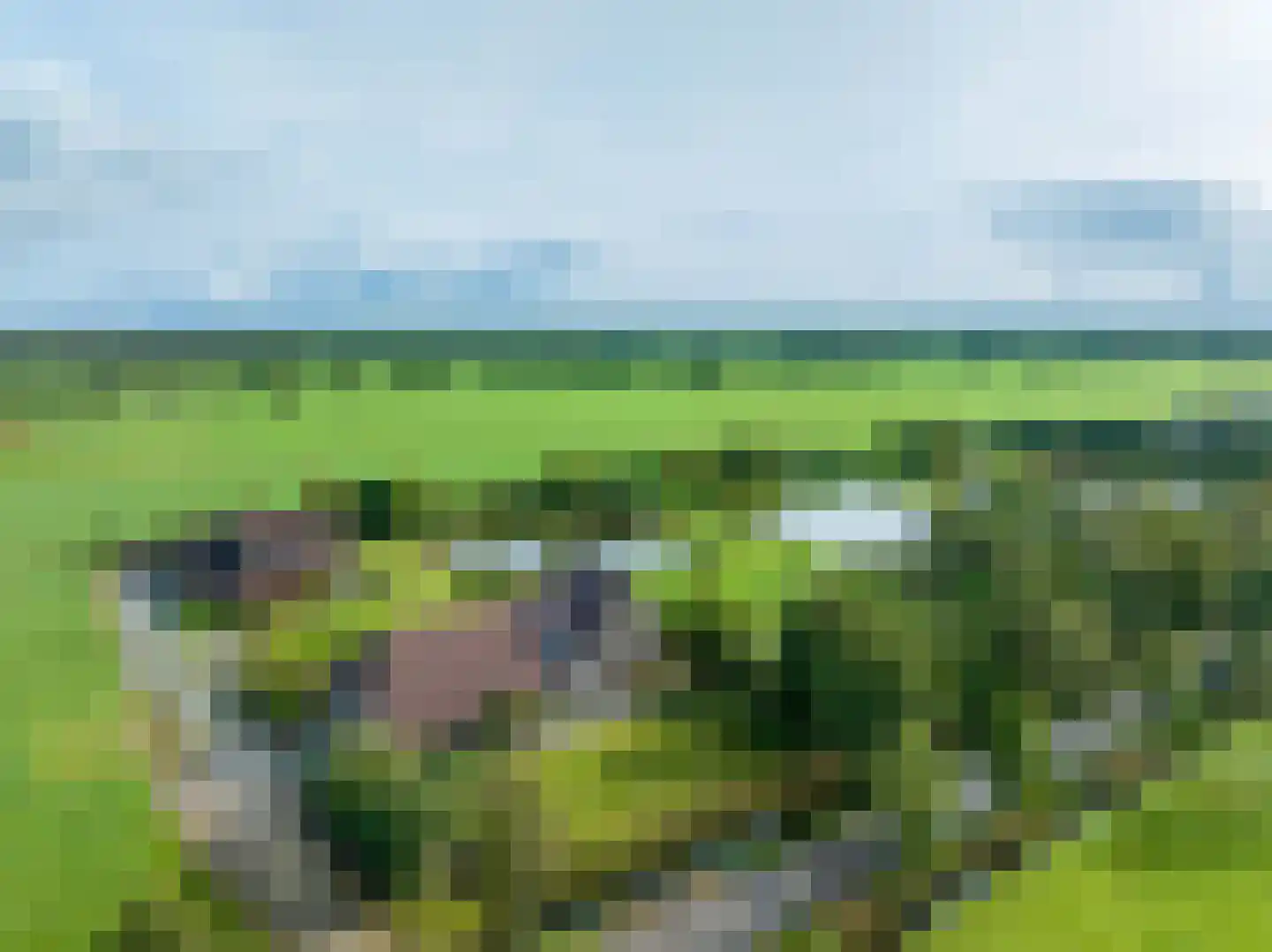 Halbe Wiersemaweg 2 A Niebert thumbnail 4