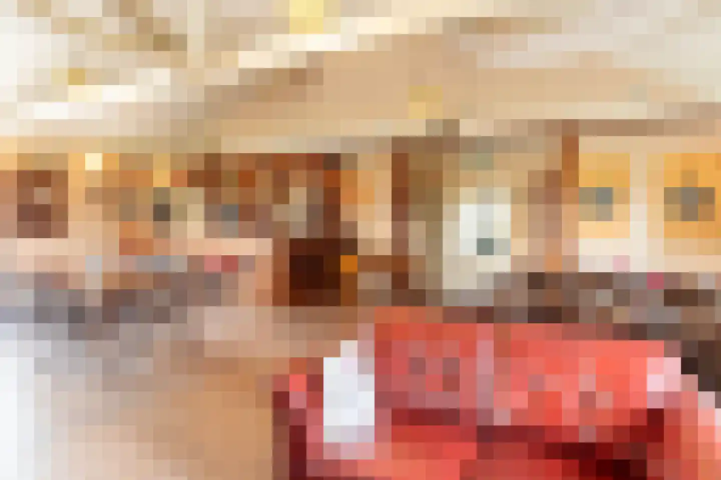 Halbe Wiersemaweg 2 A Niebert thumbnail 58