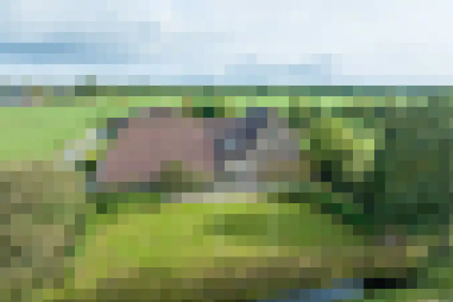 Halbe Wiersemaweg 2 A Niebert thumbnail 6