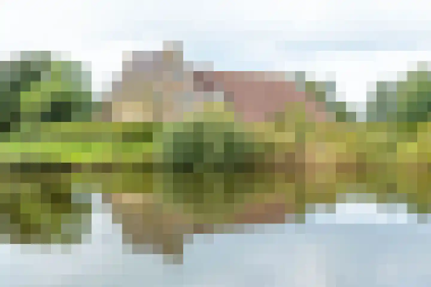 Halbe Wiersemaweg 2 A Niebert thumbnail 77